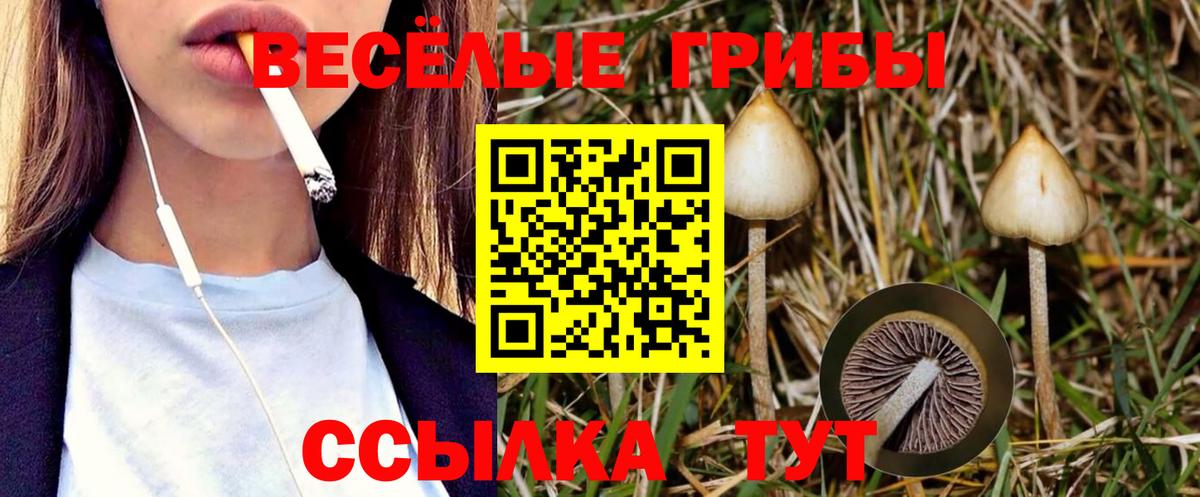 Псилоцибиновые грибы ЛСД  Вход с VPN  Галлюциногенные грибы мухоморы  Костомукша 